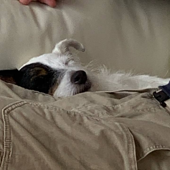 Ca0e14d8 a584 4411 8262 2f50056b5185 1601779385953