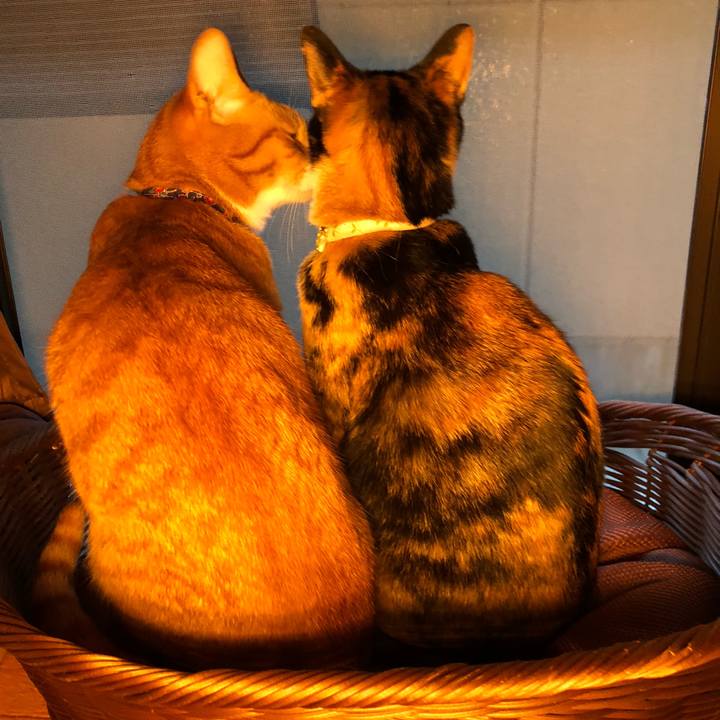 Ca0e2c95 2653 498b aeb4 75f61c078516 1607183963173