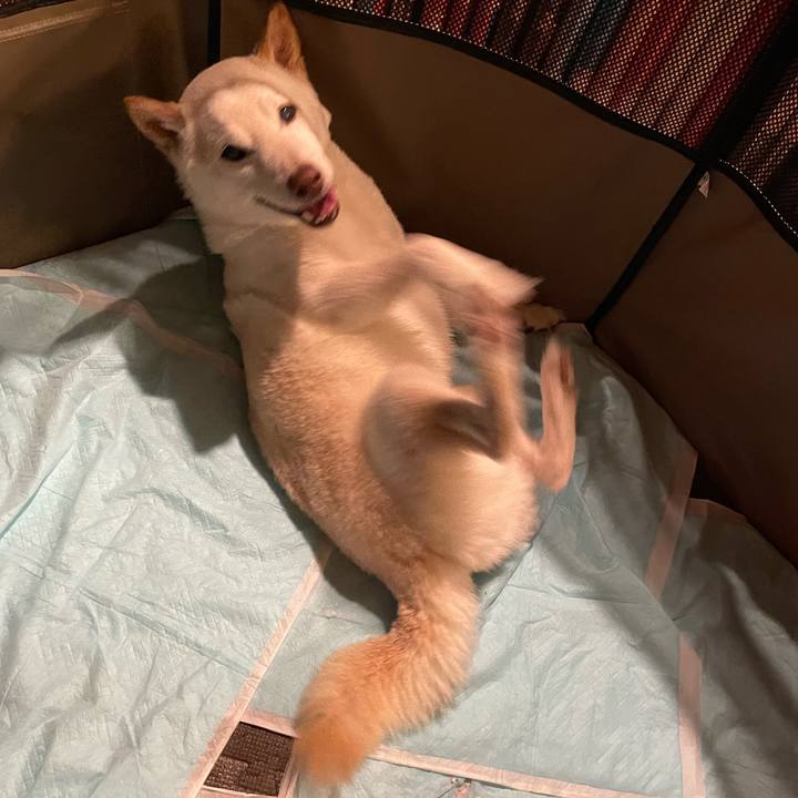 Ca0e7fd4 a80b 4f69 b643 41269c59ec0a 1656856335541