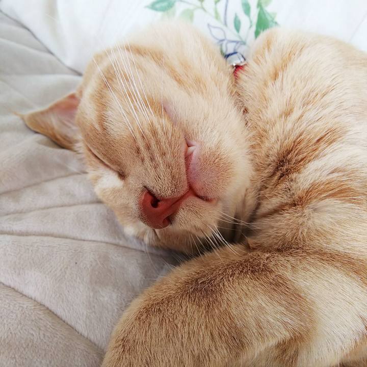 Ca0e8f92 3db3 4ea2 934f cdb550a9372d 1560573552193