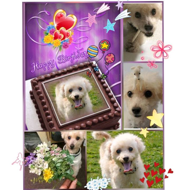 Ca0ea7dd 1824 4627 915b 9bd01be30775 1530922119925