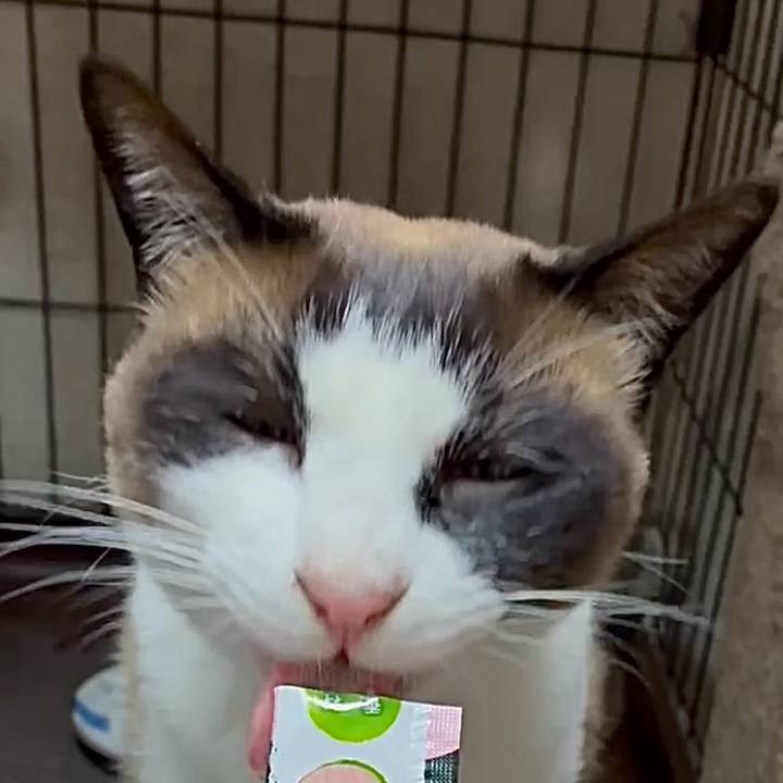 Ca0ecd3a 9668 43f9 899c 0ac7803f7435 1748261483992