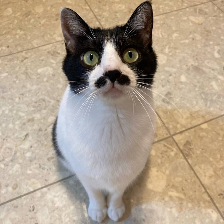 Ca0ed857 fdd6 4ace a391 5bcff2749189 1760618108931