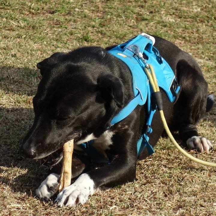 Ca0effcf 642a 4392 9cee f0290d5659c2 1615422895450