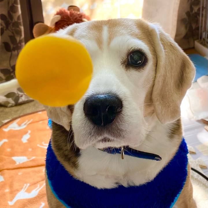 Ca0f00e8 45e2 4877 b3db 6980d1a14e00 1612585422465