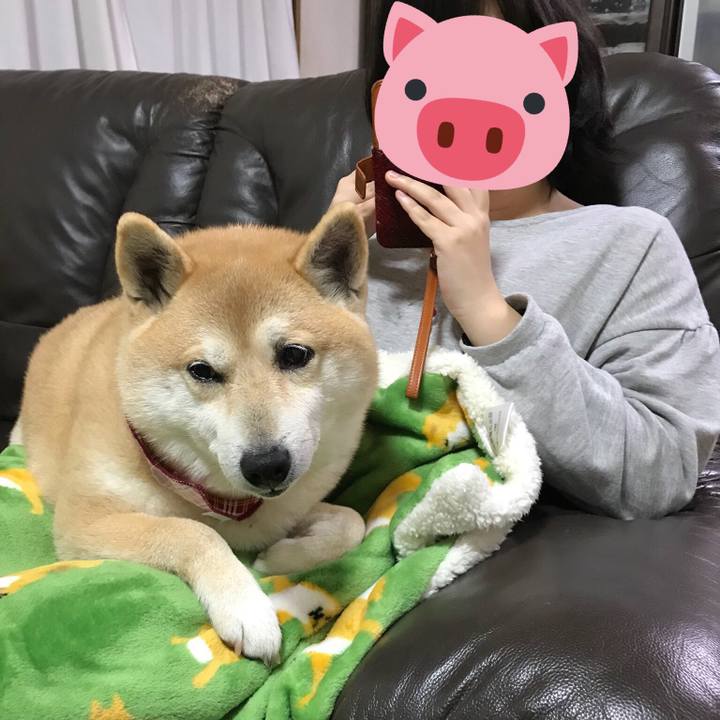 Ca0f46e5 1b33 4632 b95e 804e04f94ae7 1521424558065