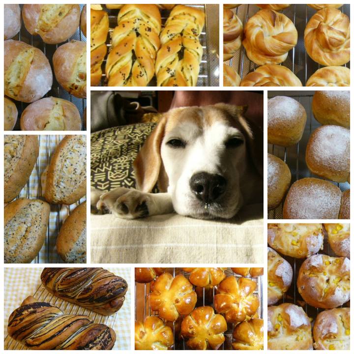 Ca0f574a a05d 40a0 840d 11a5222b88f1 1673490502925