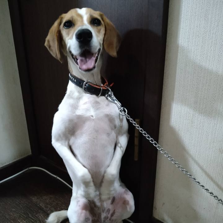 Ca0fbecd 9f62 410c a52e 6ad75b9c89f8 1626950498828