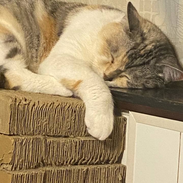 Ca100b0d a235 44a1 935a 867943e04523 1622719715230