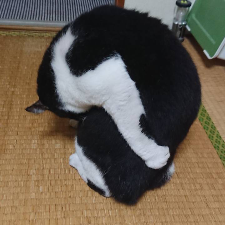 Ca100e7e 37b9 4978 a82e 483cbdc5ad27 1536493081332