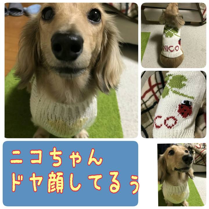 Ca101016 be1f 4e88 990b 31661139d76c 1542427546372