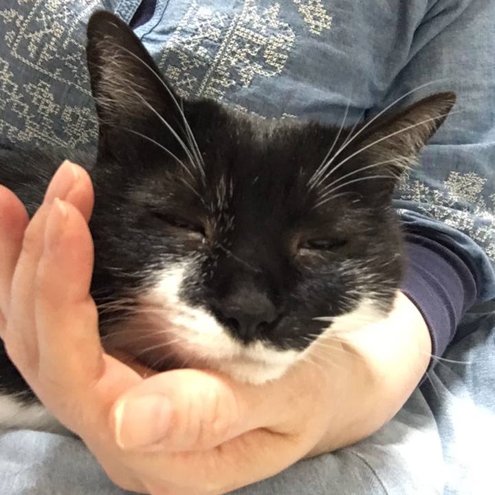 Ca1050d4 965b 43b8 a41f 74e0bddae6cf 1590927443417