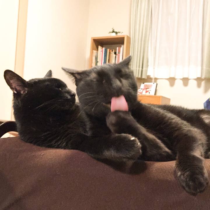 Ca10a672 919f 40e9 84d2 c4f1d5978b74 1520855710626