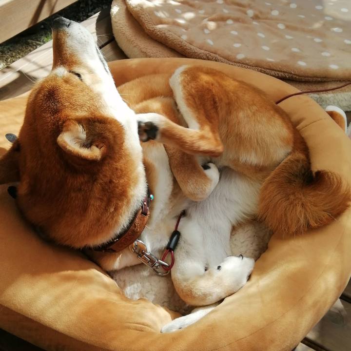 Ca10b113 2c10 496f a242 183bcdcd95ea 1614154501251