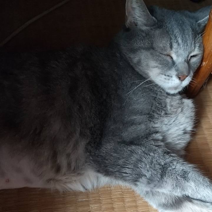 Ca10b862 4ef5 4021 a968 57f582f78118 1662851024123