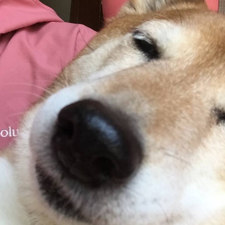 Ca10cff8 aeec 4d1f 8ed7 d836025eff14 1586572810017