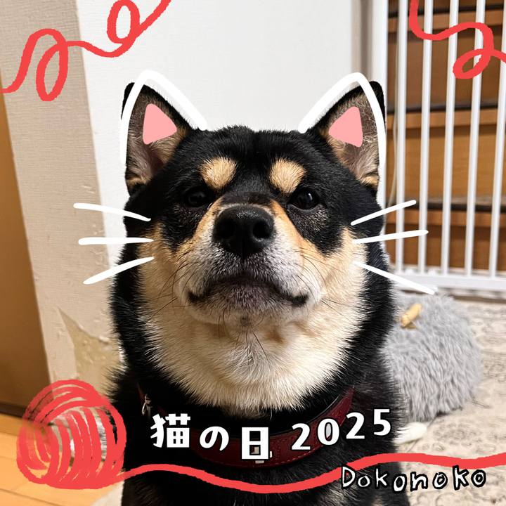 Ca10f205 99c0 4340 adc9 173704a9392c 1740446425768