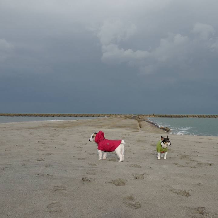 Ca110f96 2413 4a83 80b6 44fc19845178 1511675463445