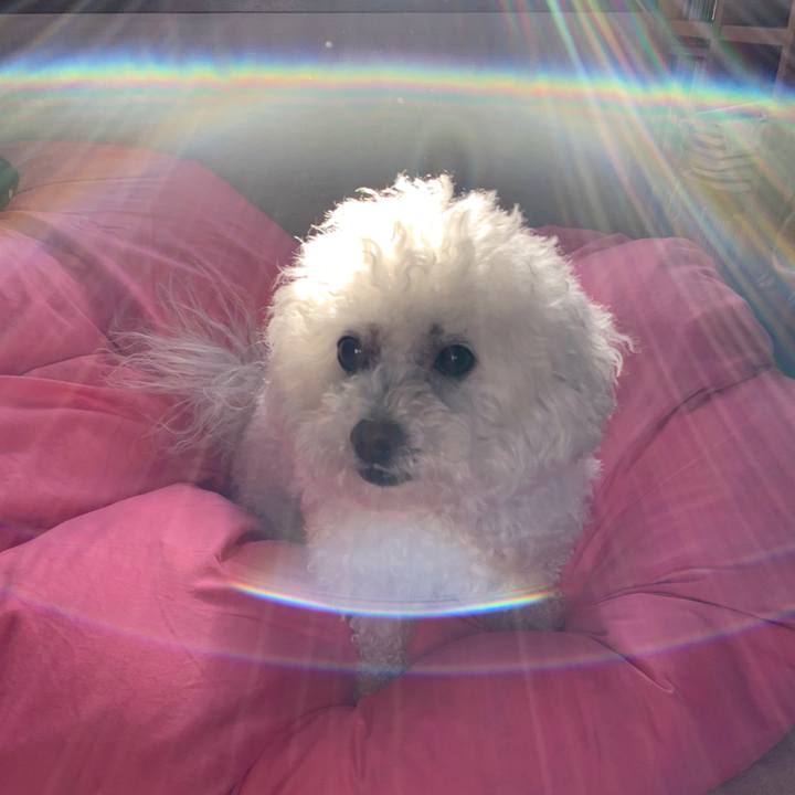 Ca113039 2ffd 4843 90fc b1f22fe768b0 1556406815820