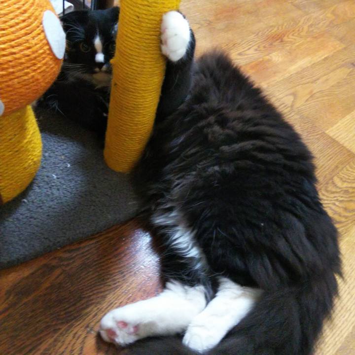 Ca11652a 8274 4b00 a372 9761ddee4c96 1653308082839