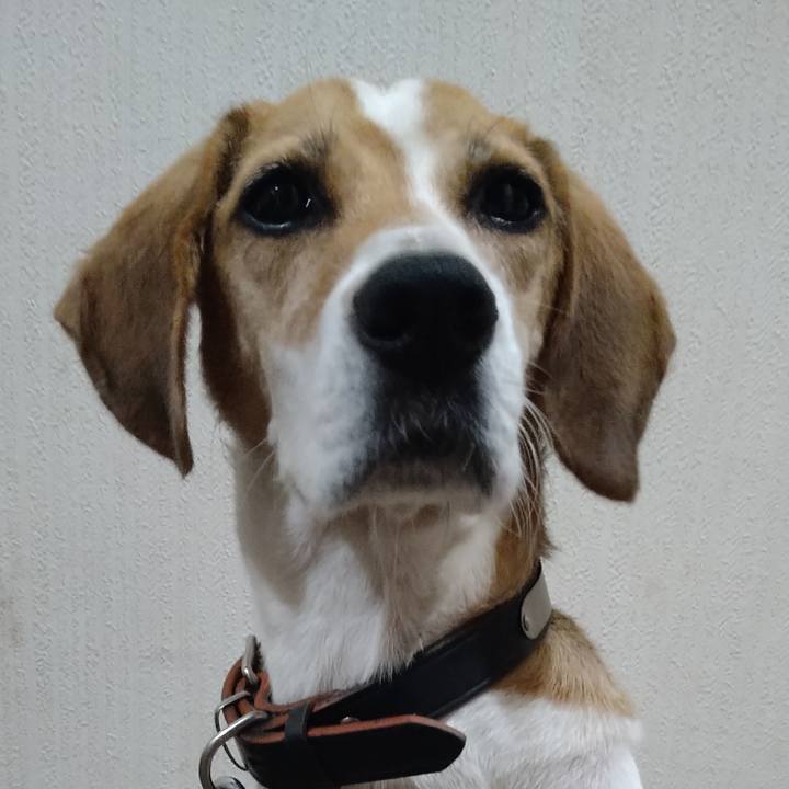 Ca11b8d7 6ff4 4a2f 9cd0 ff5b11791893 1662823109465