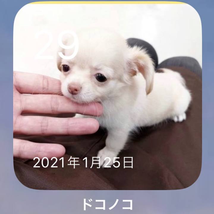 Ca11bdf3 8b4b 4bf3 ae4b abcbefac3902 1674949928986