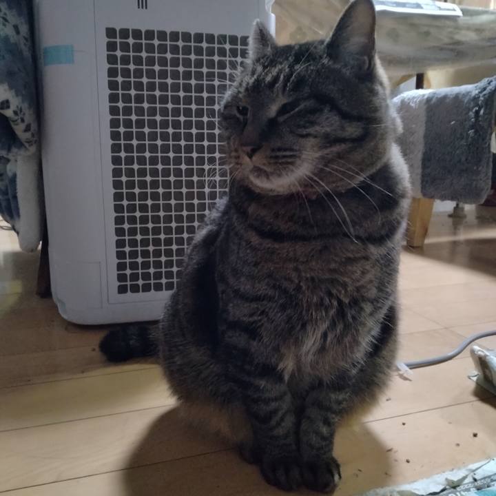 Ca11c035 cc01 408d 8589 d8d83974880b 1673044355609