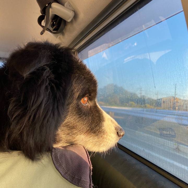 Ca11d67d 3540 472b a4c9 5adc7c9b425a 1666130950129