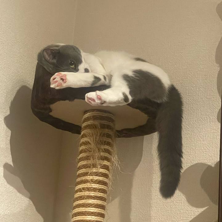 Ca1205ed 37bc 47da 9cba 31ea91d5655a 1729008038128