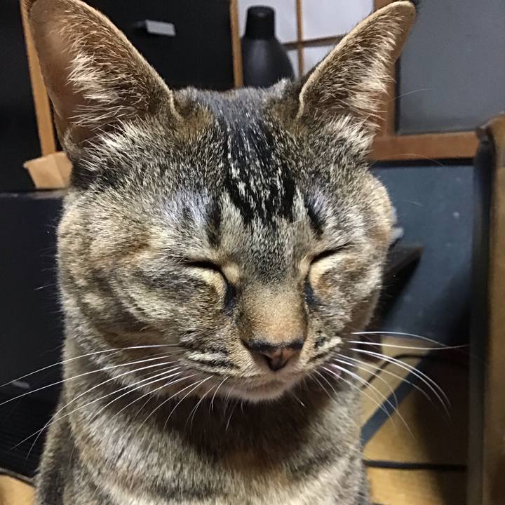 Ca123186 0643 41af bfd6 5bd01f99f010 1682425919407