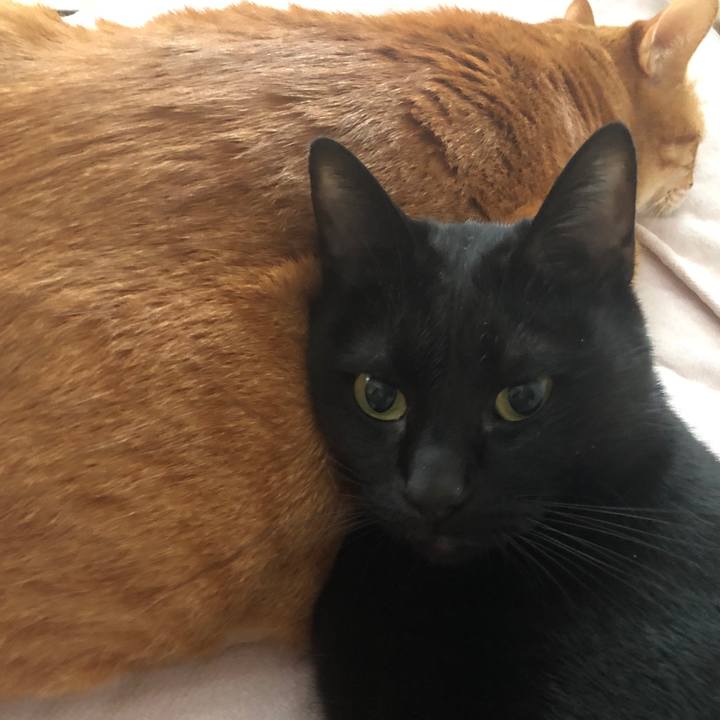 Ca12605c 31fa 44ae af67 ec631e066d9d 1704150812916