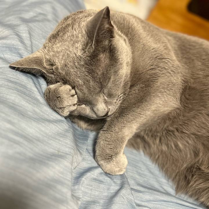 Ca12c7c4 2972 43c7 8a53 329fa33fc083 1693400550344