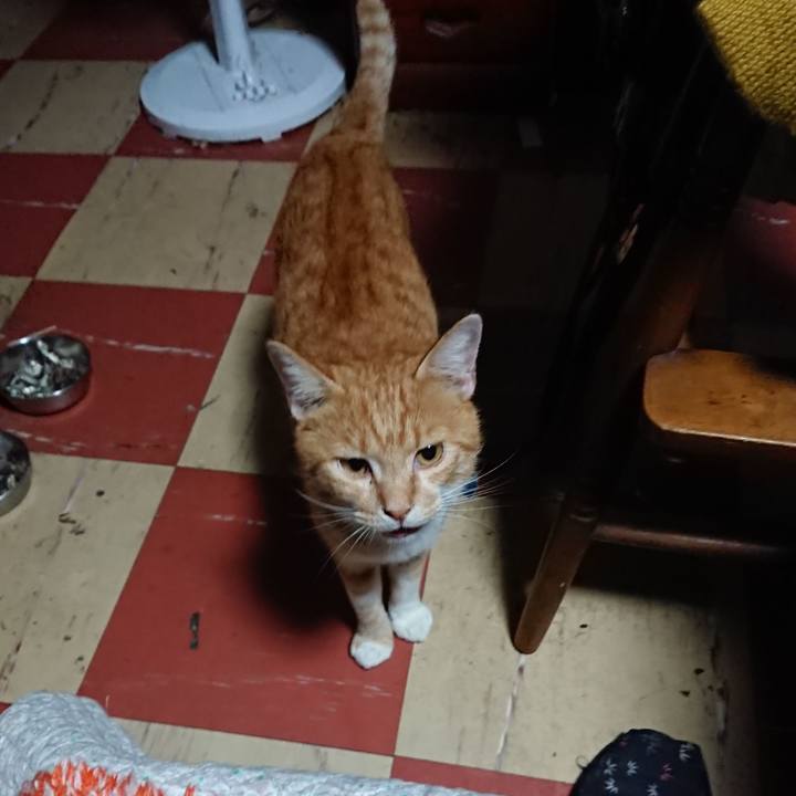 Ca12e147 c746 44c8 bc47 ad705a3764f9 1567800437944