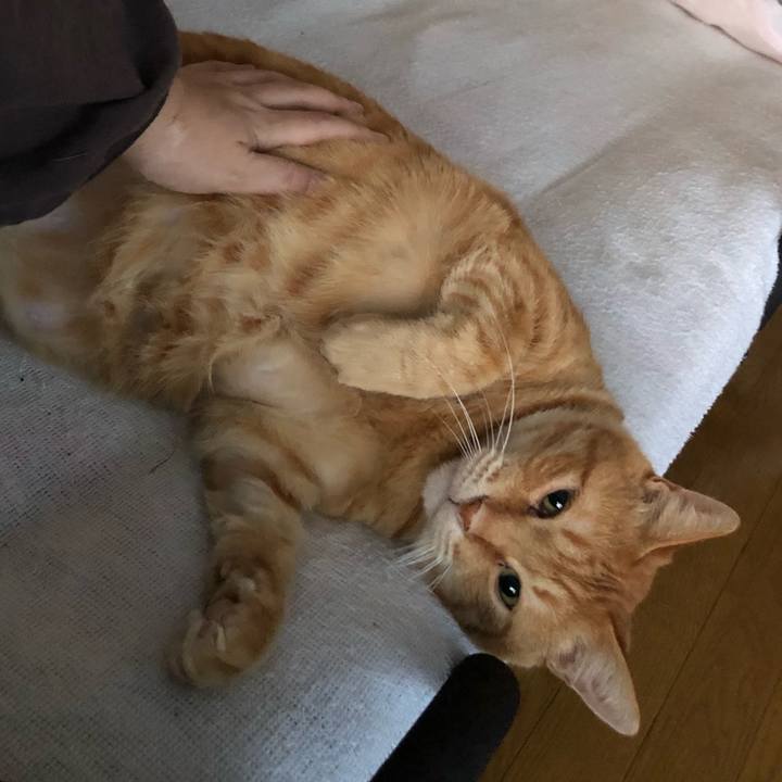 Ca138023 d256 45d0 91e0 c614d14a1bb3 1605216899268