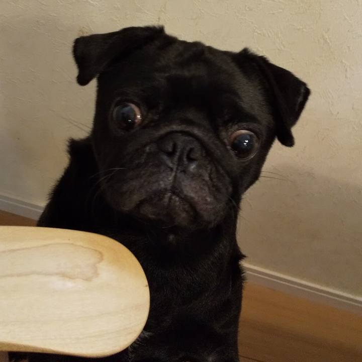 Ca13a8f1 5a3e 42d5 bbc6 009cf82e6e7d 1601122513207