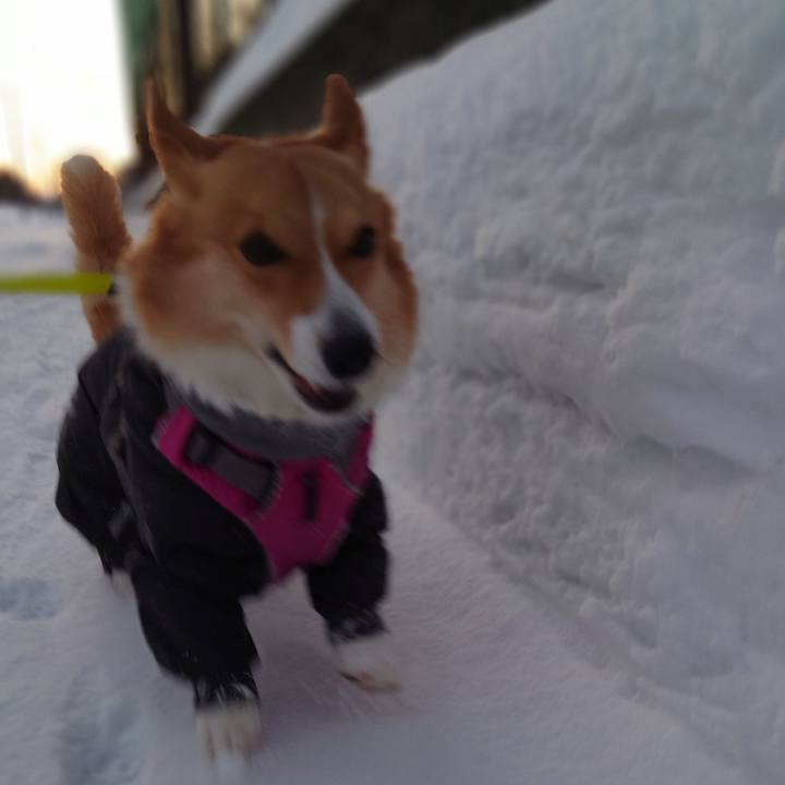 Ca13aa21 72b3 46e0 a794 463a57f750de 1768866337919