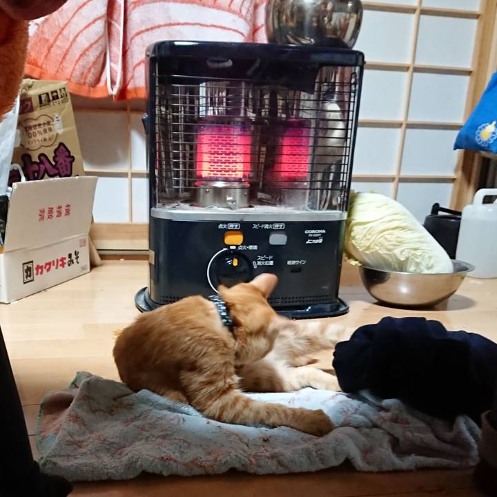 Ca13b764 73da 47dc 946e 156cdce42a52 1634762538377