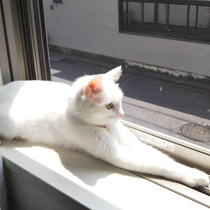 Ca13bd30 2ff9 4579 9b90 64706df05b8d 1626321383406