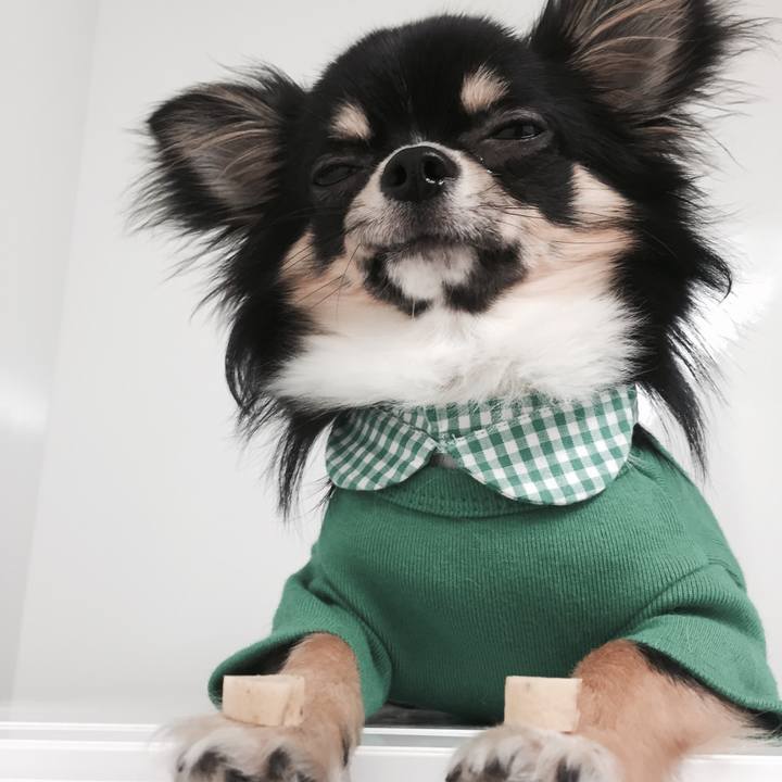 Ca13c50a 3f30 41d9 9068 bdb356ad2713 1525436911239