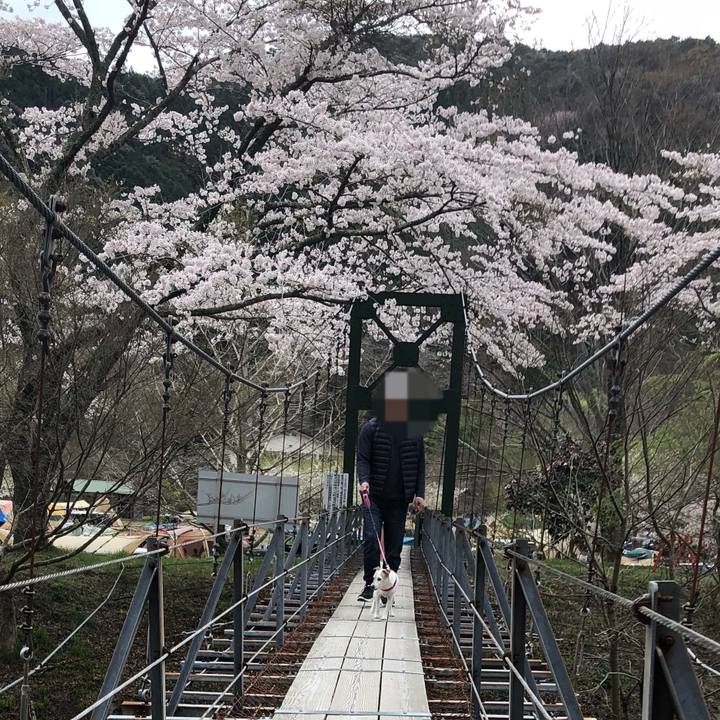 Ca13cfbf 1df7 4c84 99b6 604704b0d796 1522489798906