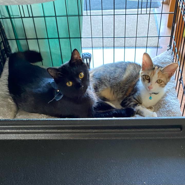 Ca142166 1c20 4d21 989f 0e5598e13dd9 1729217428772