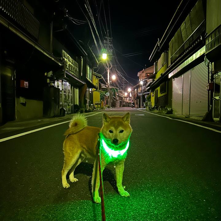 Ca143566 47e7 4979 8b12 afa6e6a8652d 1715256759181