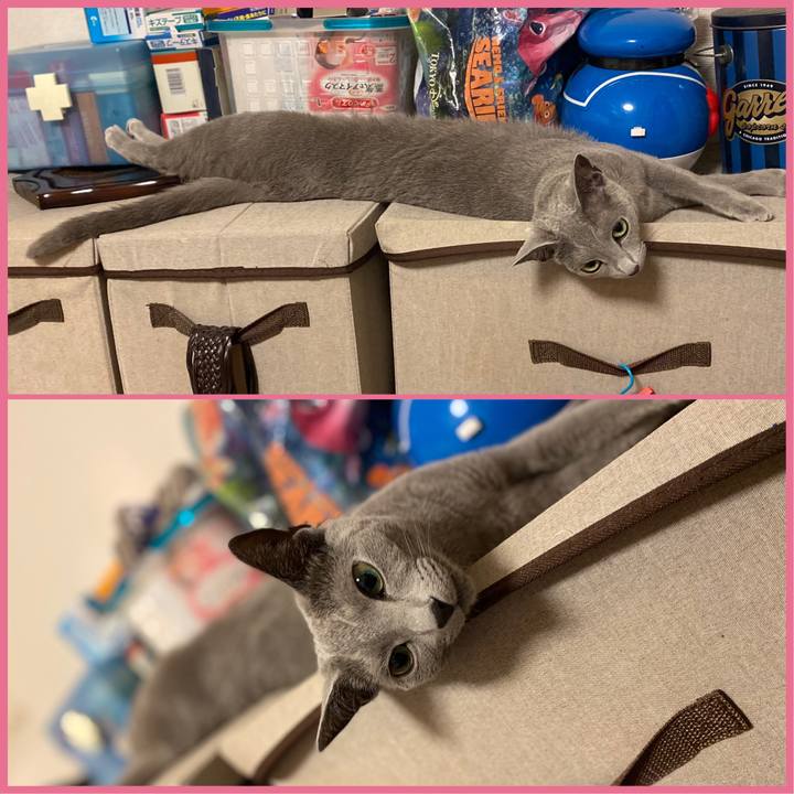 Ca1476c2 533a 422d af38 7b366c71ca69 1653367513014