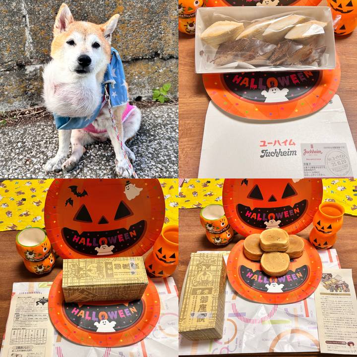 Ca148882 cccc 41fc 8904 eb07ab3fa15e 1760778655110