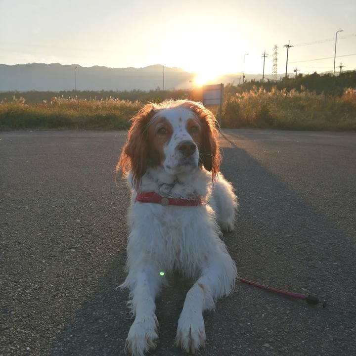 Ca151604 0874 4c82 b04c 6f9509281c24 1606353048119