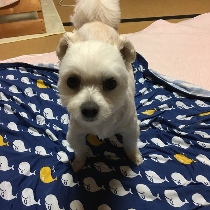 Ca152528 4266 4eef a6d3 3a3002ca9952 1534070582151