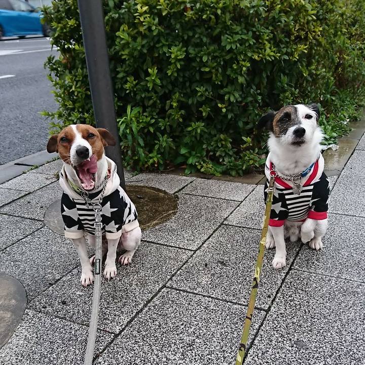 Ca155e9c 89ab 4633 9d11 c04747109551 1583794079595