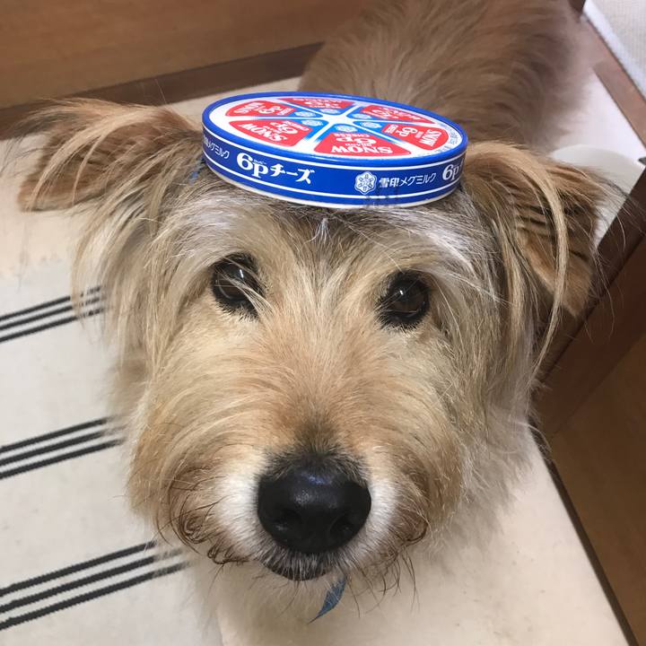 Ca1569ac 6974 4761 9e51 cf665138d1d5 1588485474875