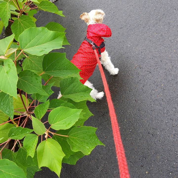 Ca1574c2 061a 4742 8dc0 1d0fc3346177 1628846208268