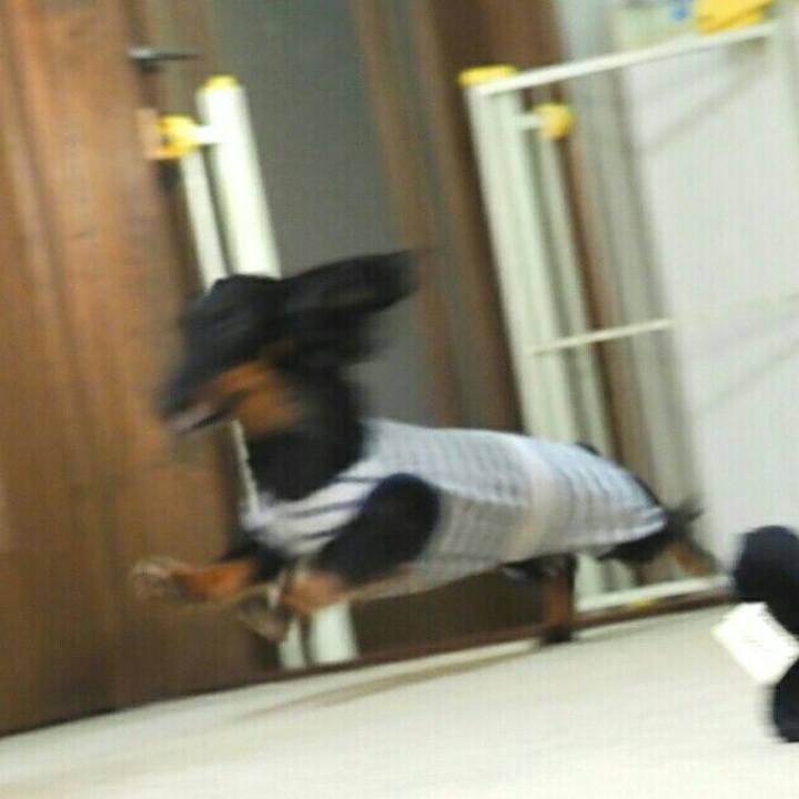 Ca15a639 bb01 4ffa 9f43 99181a27b90a 1602927549137